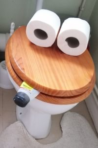 Mr Toilet