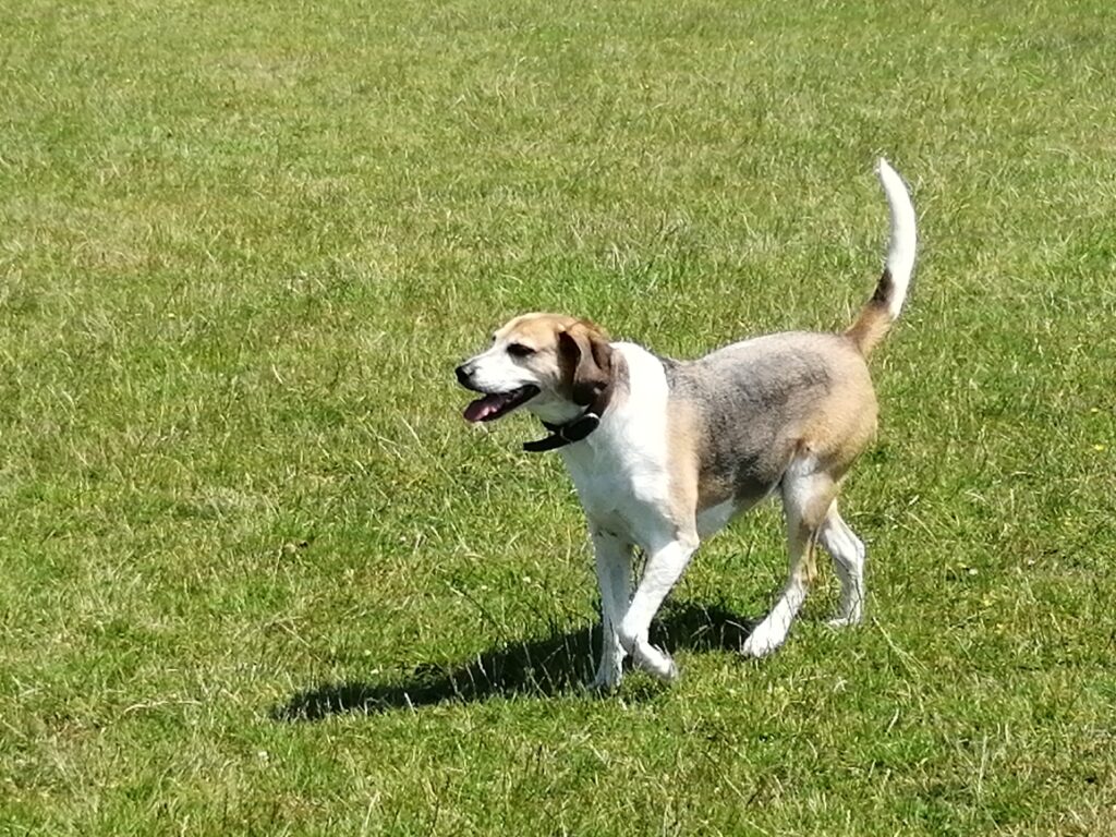 TradeShark Diary 10th December 2025 5 Molly